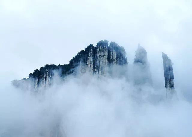 冷知识分享平台-失恋后的日子该怎么度过?| 每天为你揭秘新奇冷知识