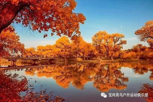 清华附中国际班引起网友热议,达到什么要求才能进这个班?- 专业问答 - 了解更多问题解答