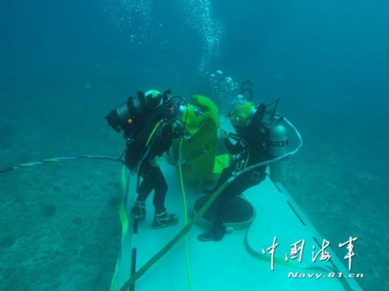 冷知识分享平台 - 探索奇闻异事,发现新奇冷知识 -